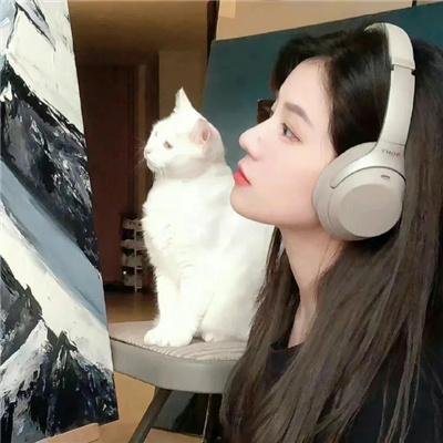 自然盛宴 海报
